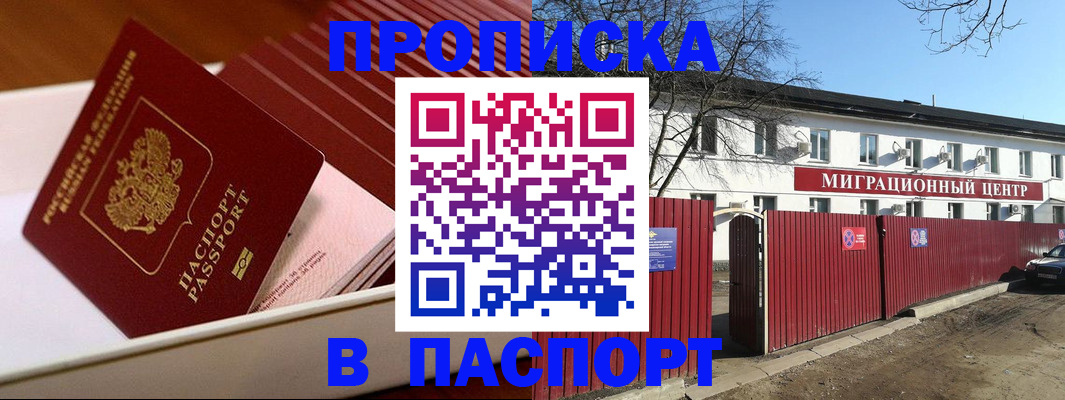 прописка 2025 в Тайге